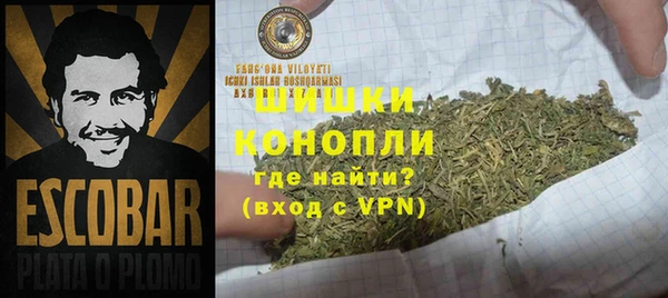 тгк Богородицк