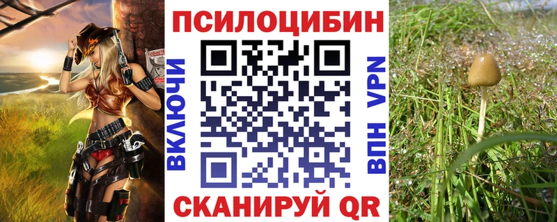 Галлюциногенные грибы прущие грибы  ОМГ ОМГ ТОР  Курильск 